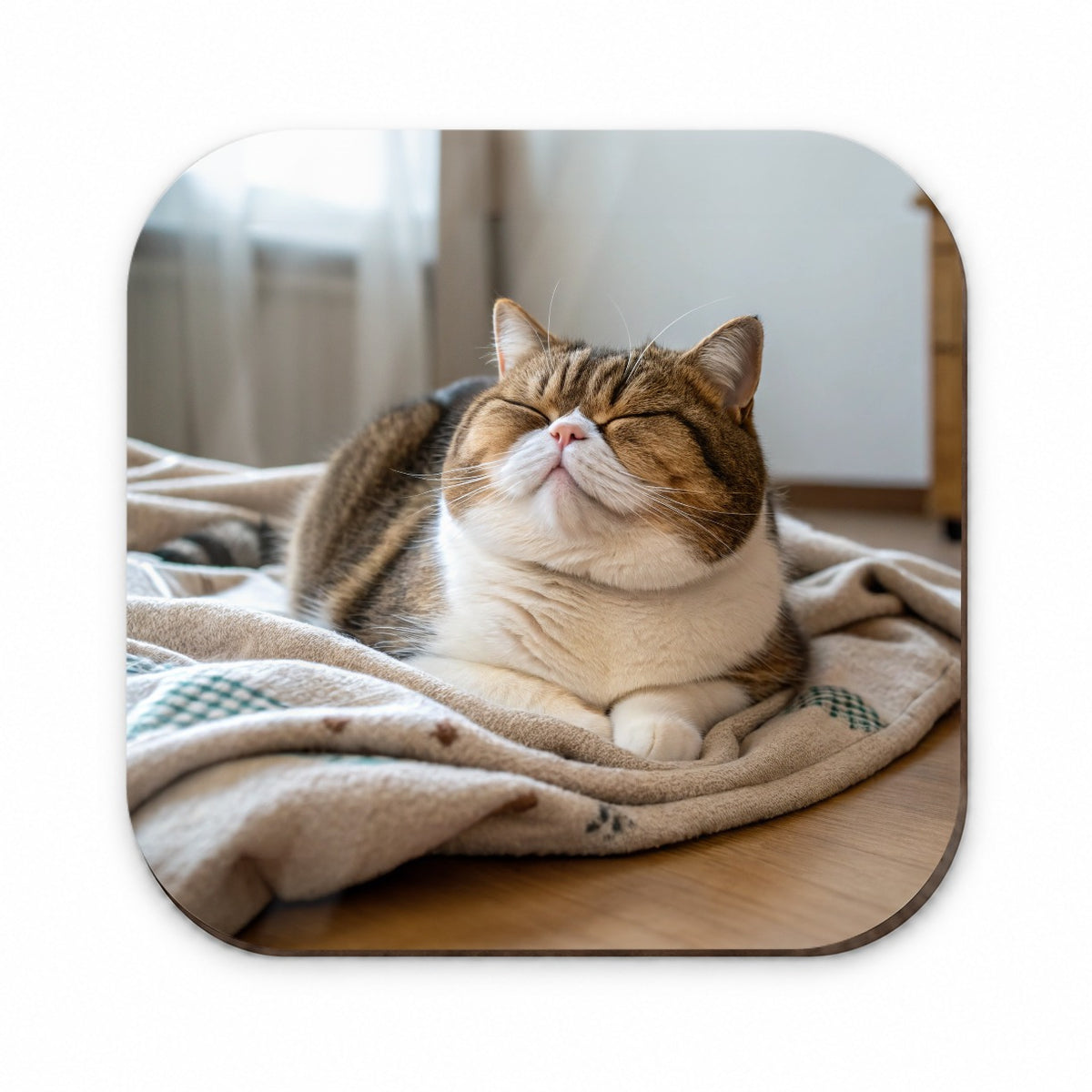 Chubby Cat Lying Down Cute Fridge Magnet