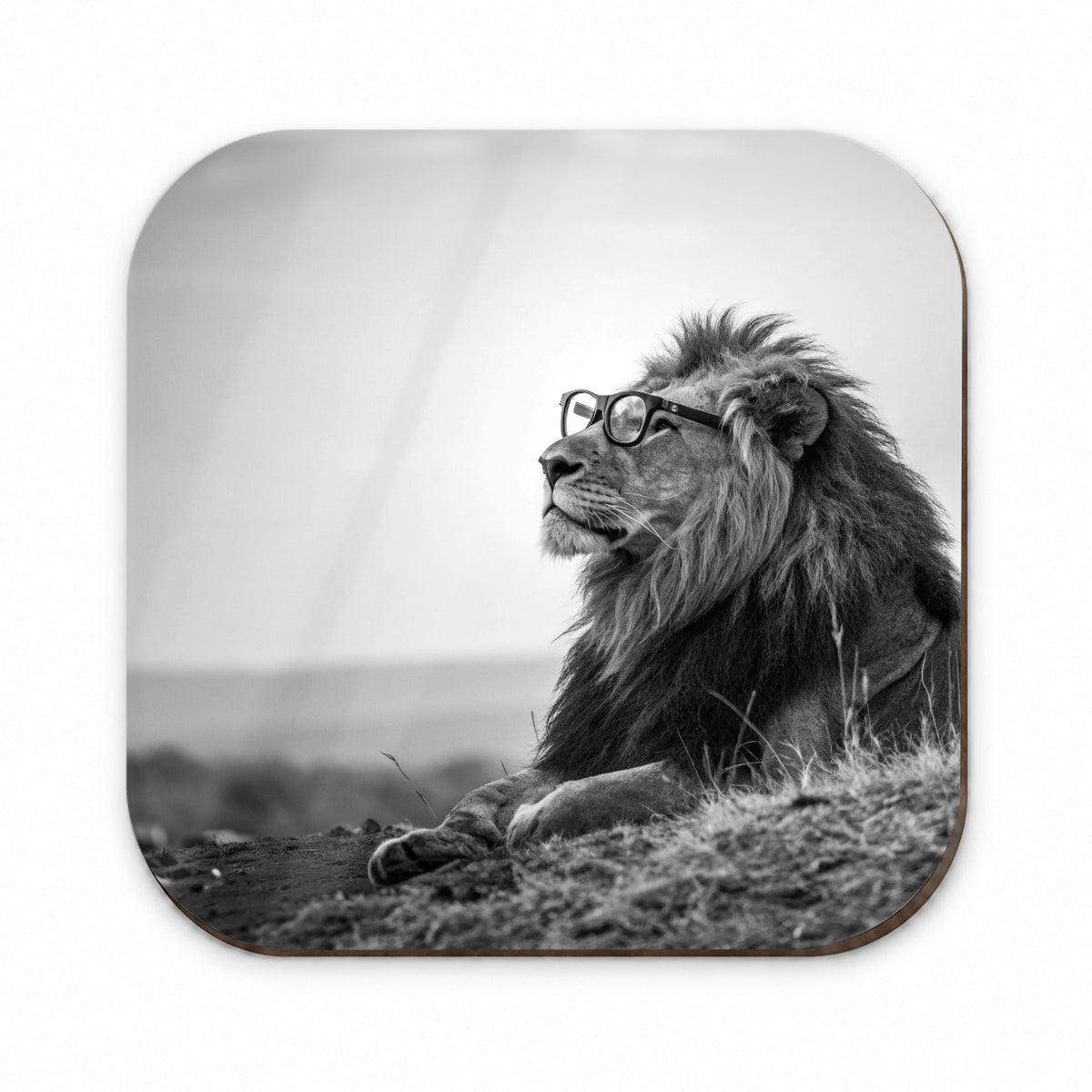 Cool Lion Wearing Glasses Black White Fridge Magnet