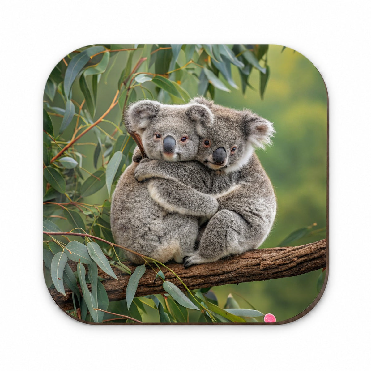 Koalas Hugging Love Fridge Magnet