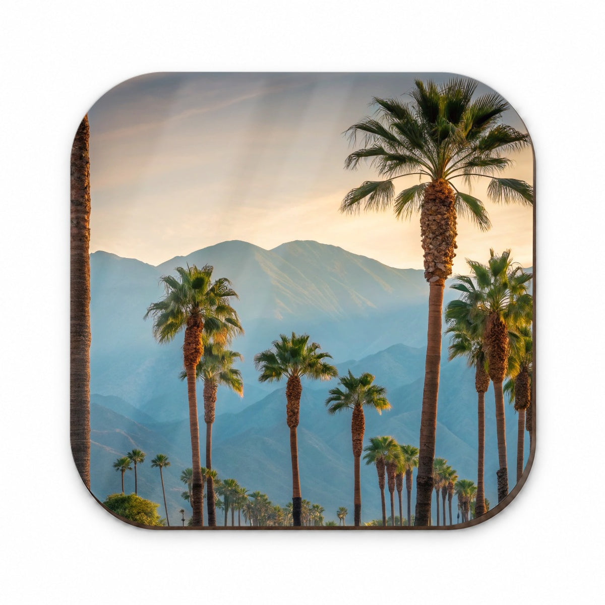 Palm Trees Mountains In Background Fridge Magnet