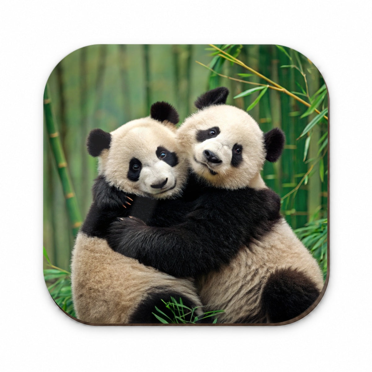 Pandas Hugging Love Fridge Magnet