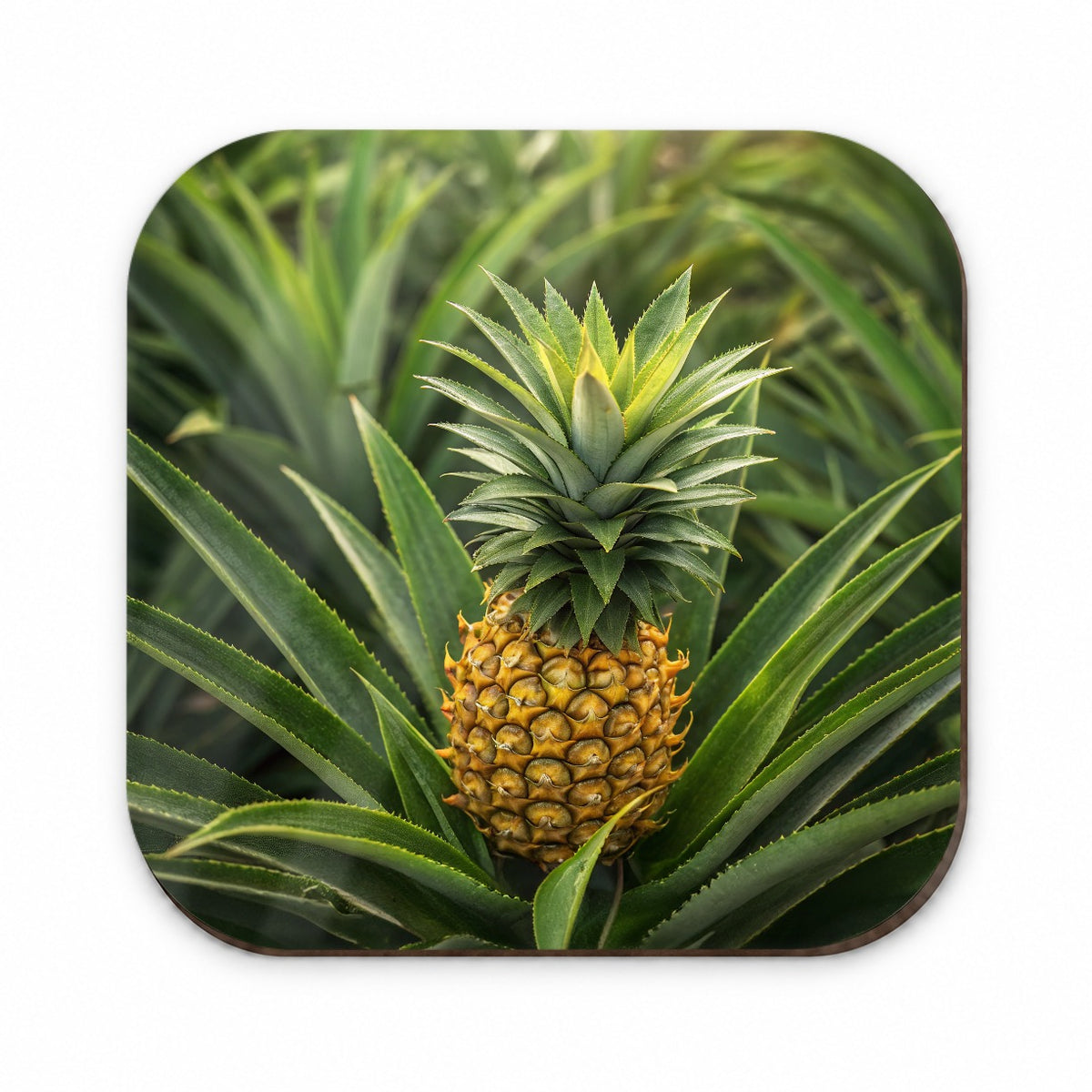 Pineapple Plant Fridge Magnet