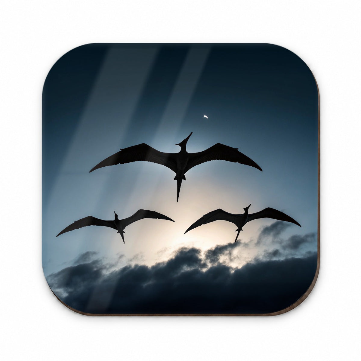 Pterodactylus Silhouettes Flying Dinosaurs Fridge Magnet