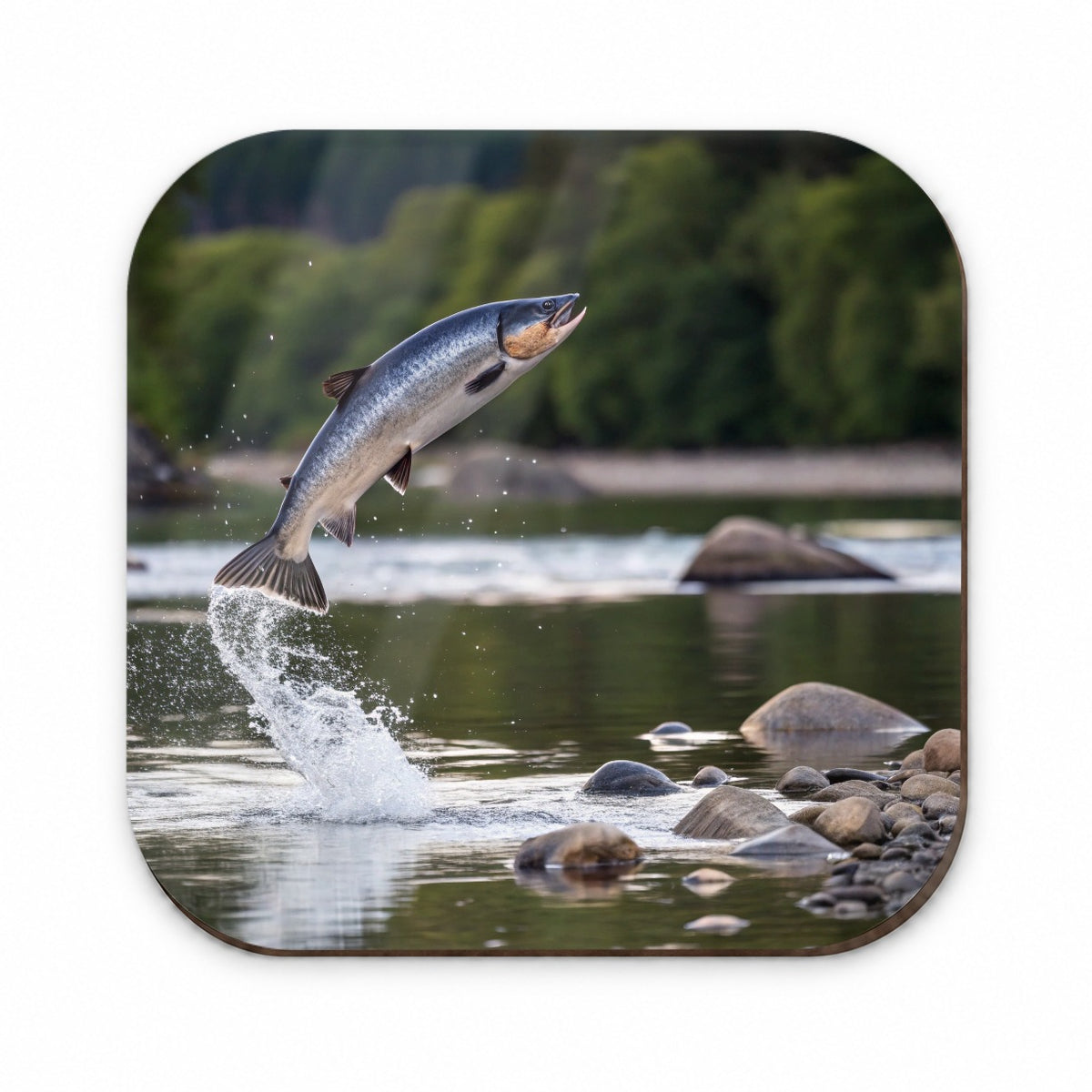 Salmon Fish Jumping Fishing Fridge Magnet