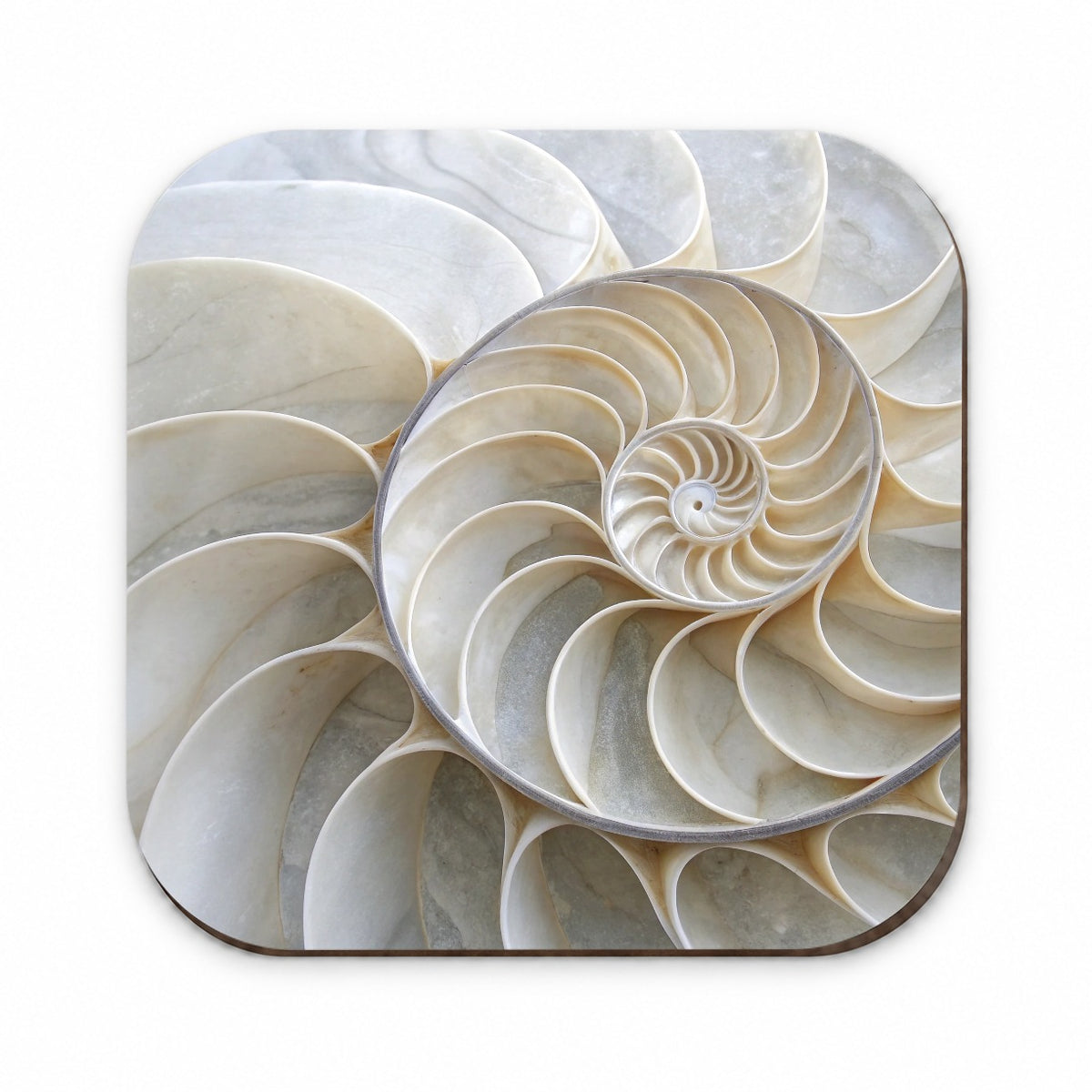 Shell Marble Swirl Fridge Magnet