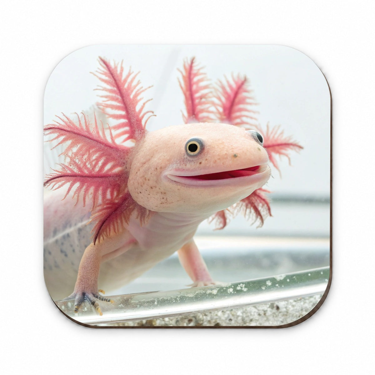 Smiling Axolotl Cute Funny Fridge Magnet