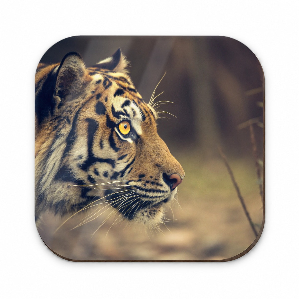 Tiger Eye Face Side View Fridge Magnet
