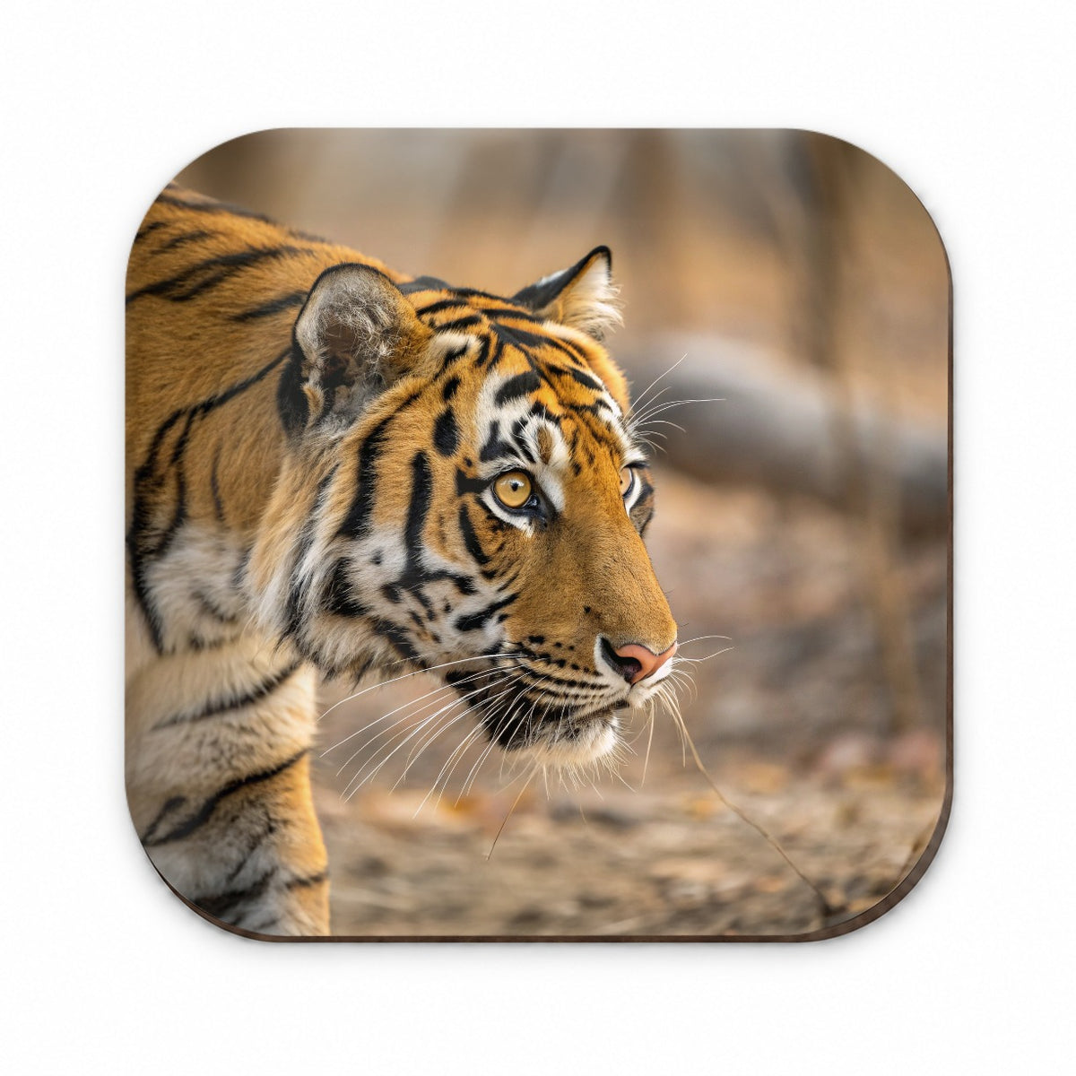 Tiger Eyes Close Up Fridge Magnet