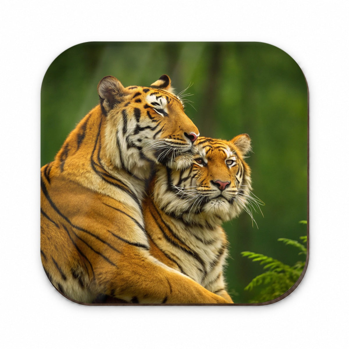 Tigers Hug Love Fridge Magnet
