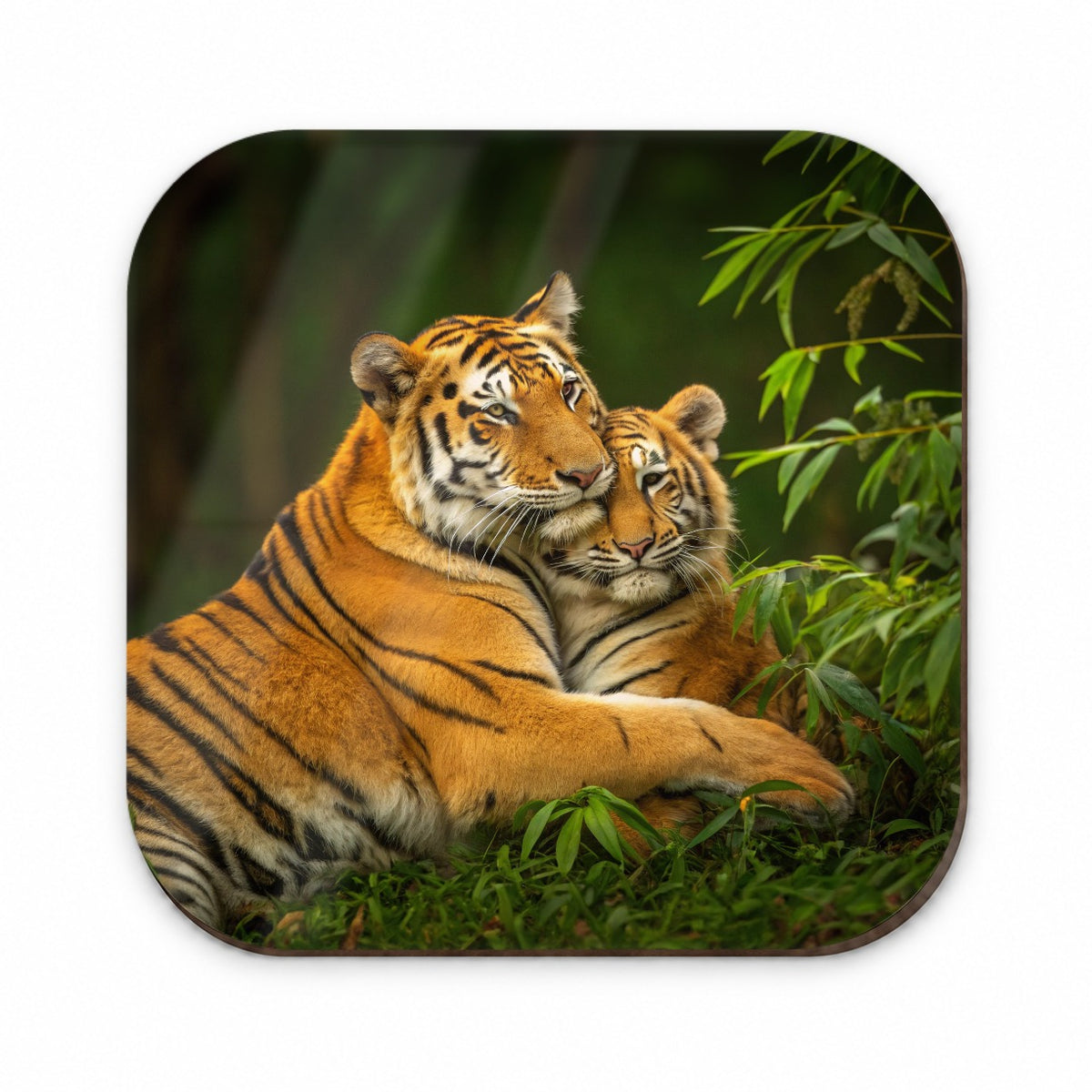 Tigers Hugging Love Fridge Magnet
