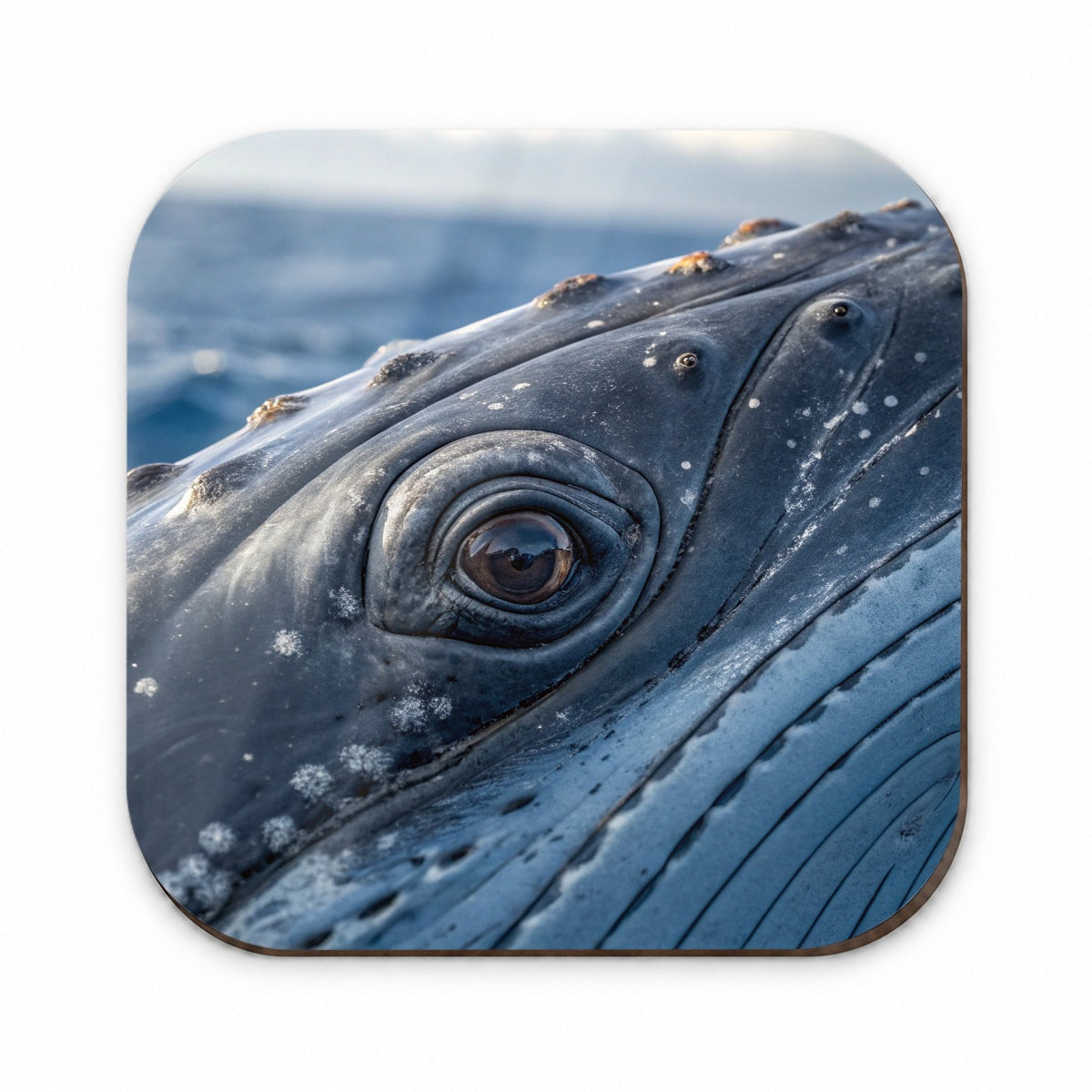 Whale Eye Close Up Fridge Magnet