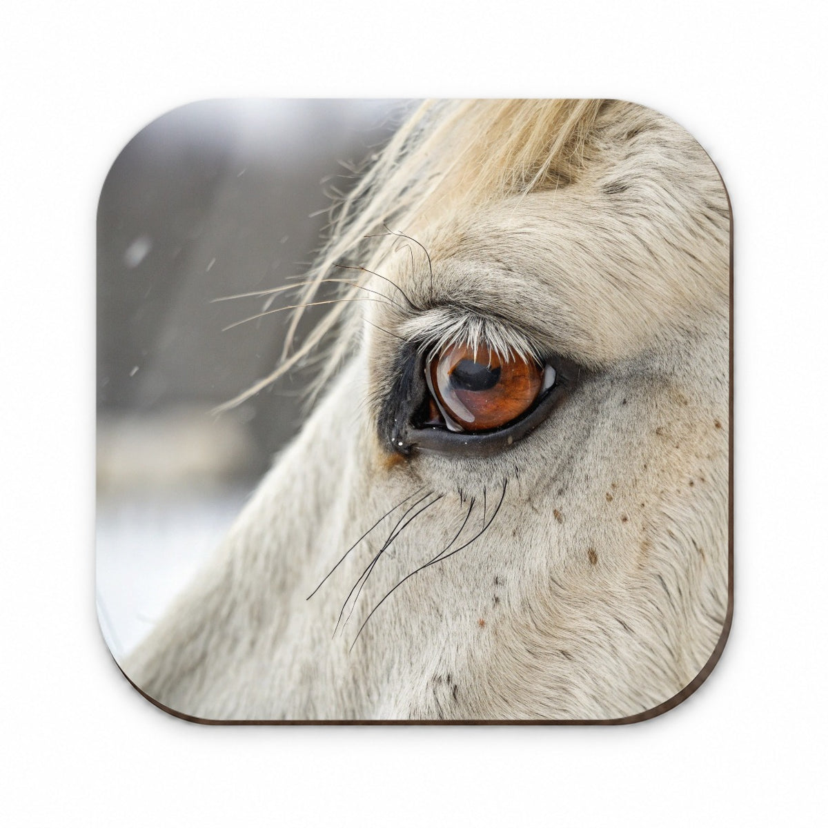 White Horse Eye Close Up Fridge Magnet