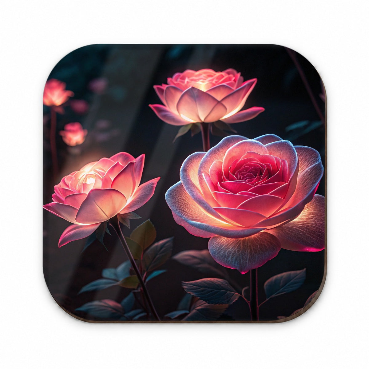 Glowing Pink Roses Beautiful Flowers Fridge Magnet