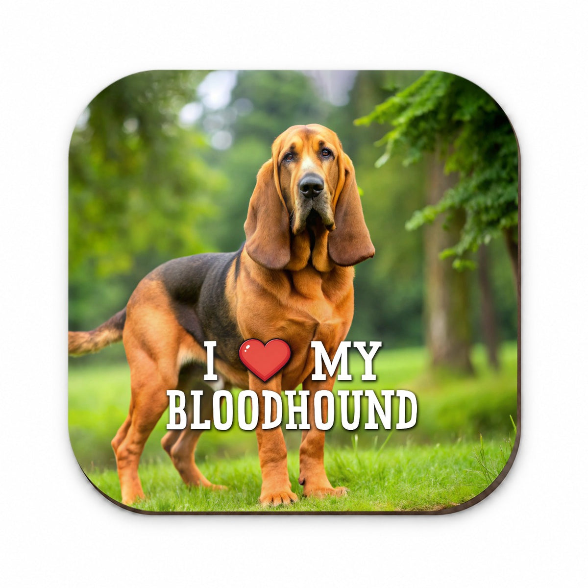 I Love My Bloodhound Dog Heart Fridge Magnet
