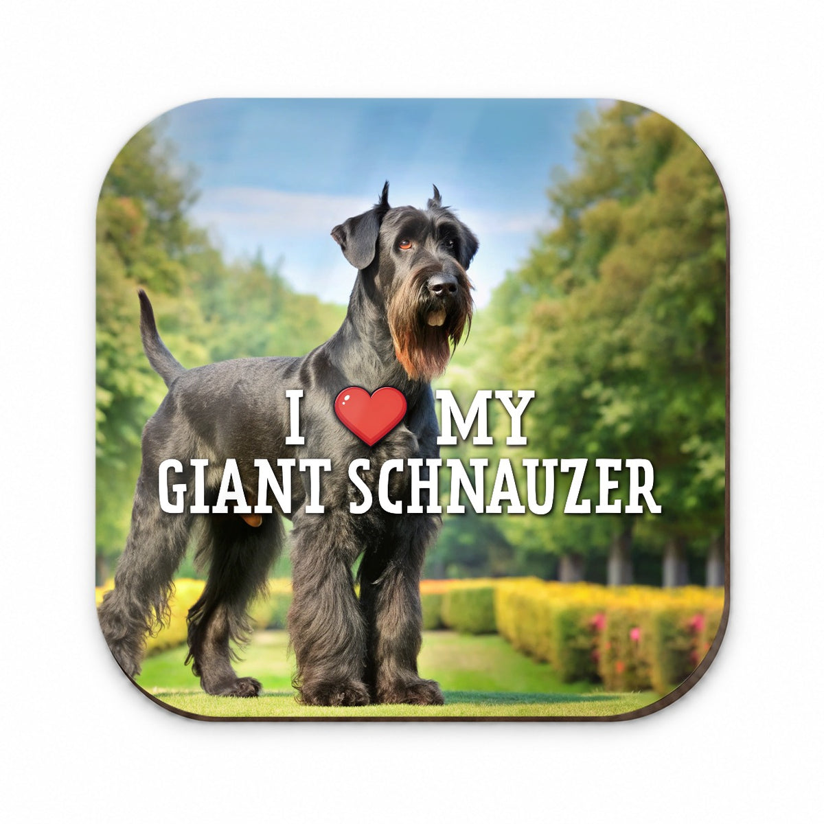 I Love My Giant Schnauzer Dog Heart Fridge Magnet