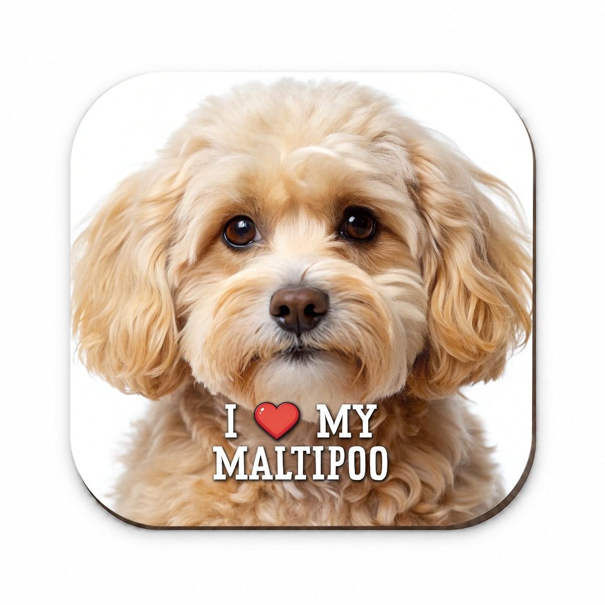 I Love My Maltipoo Dog Heart Fridge Magnet
