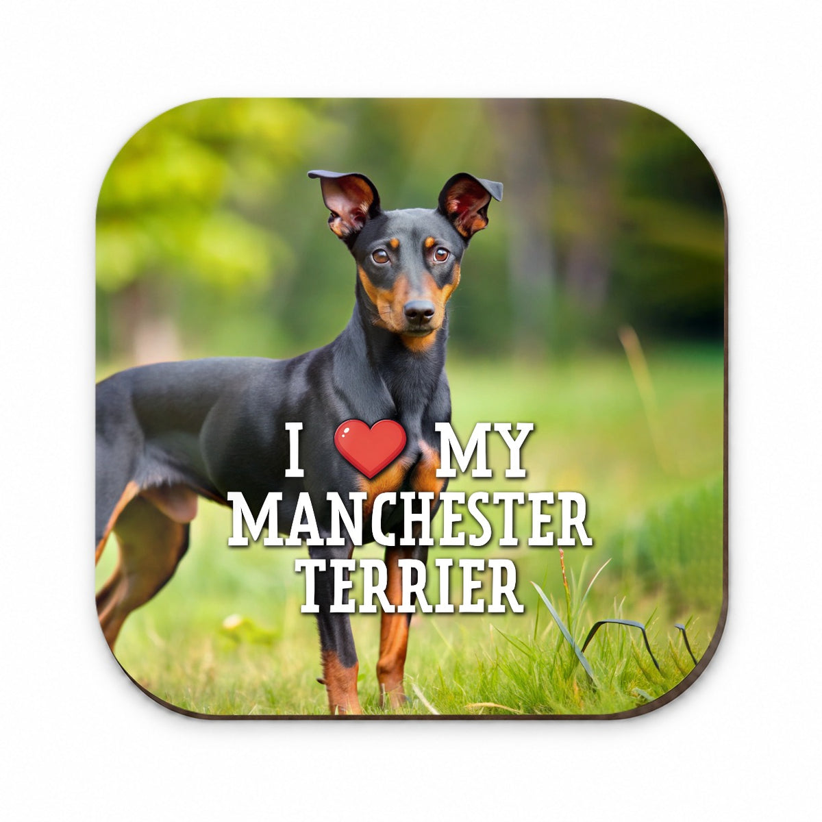 I Love My Manchester Terrier Dog Heart Fridge Magnet
