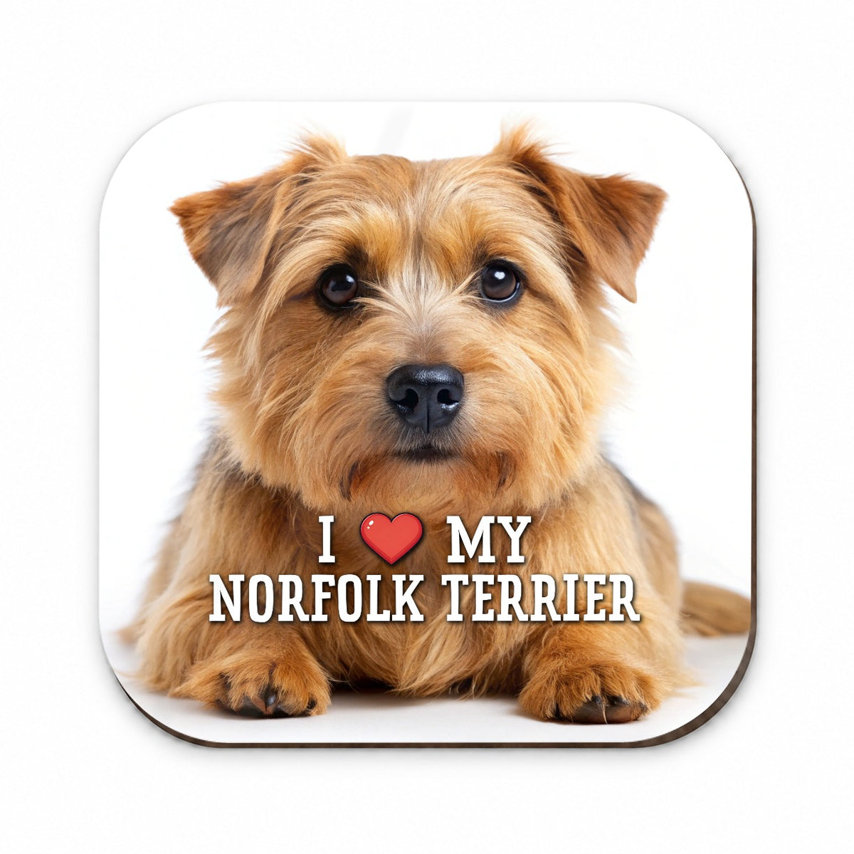 I Love My Norfolk Terrier Dog Heart Fridge Magnet