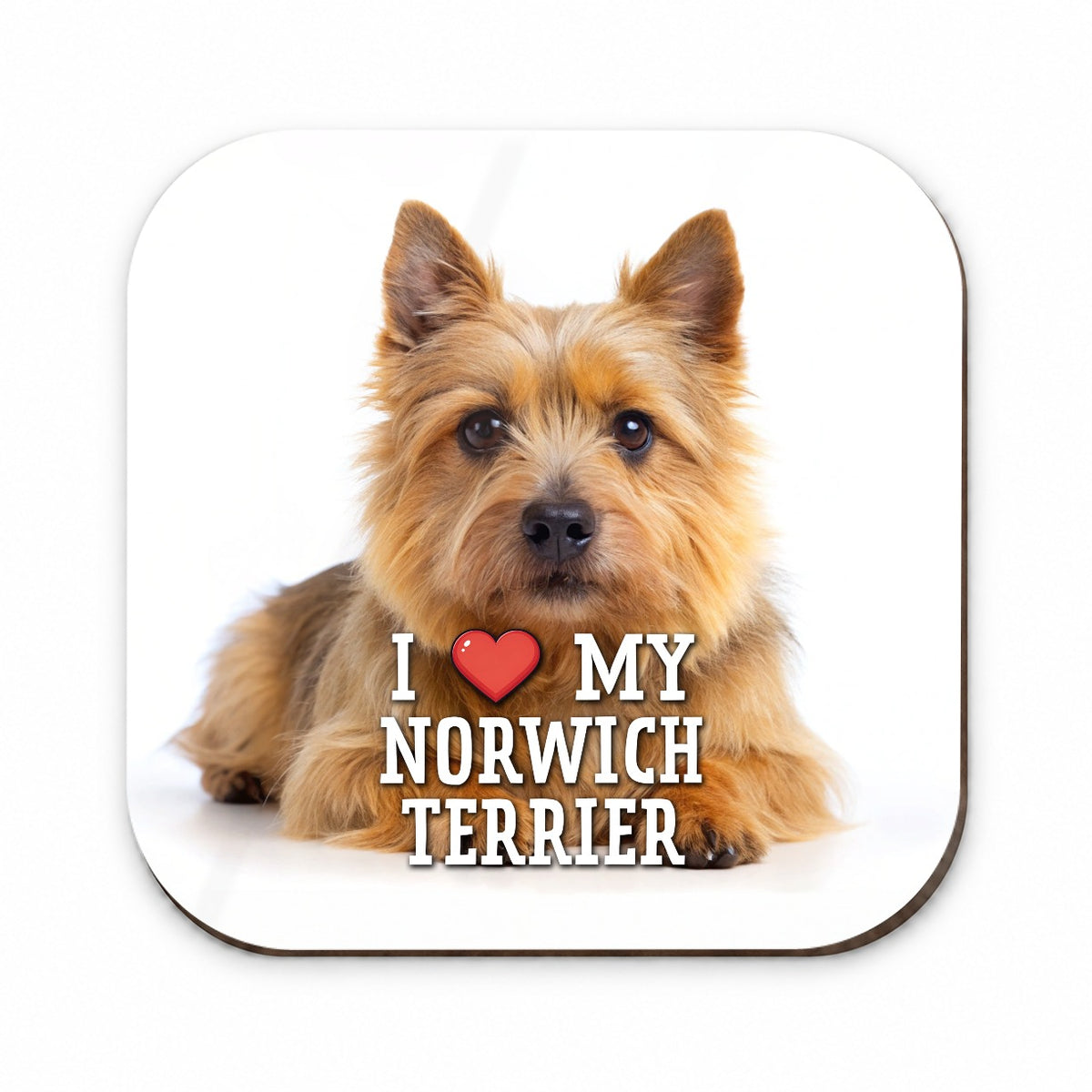 I Love My Norwich Terrier Dog Heart Fridge Magnet