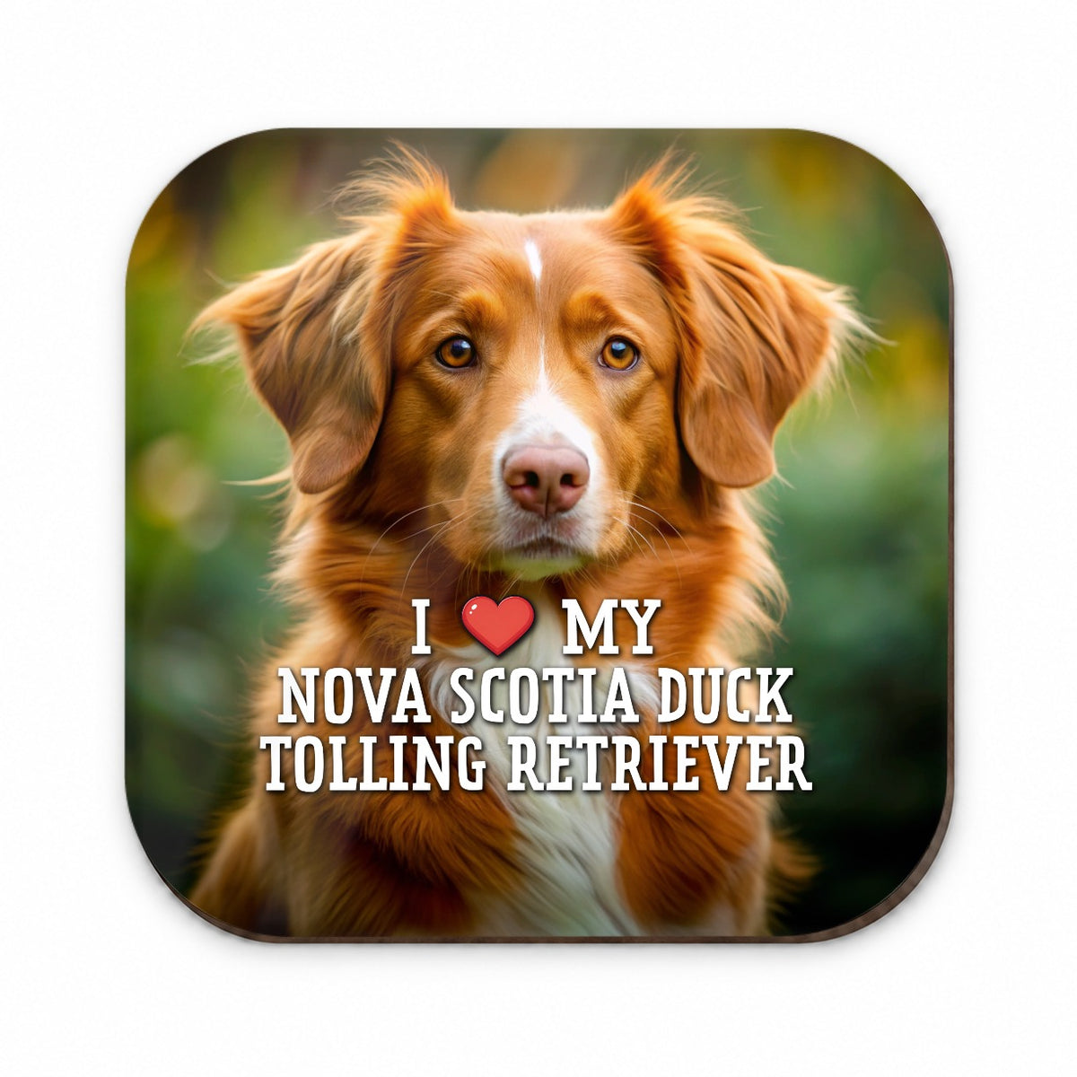 I Love My Nova Scotia Duck Tolling Retriever Dog Heart Fridge Magnet