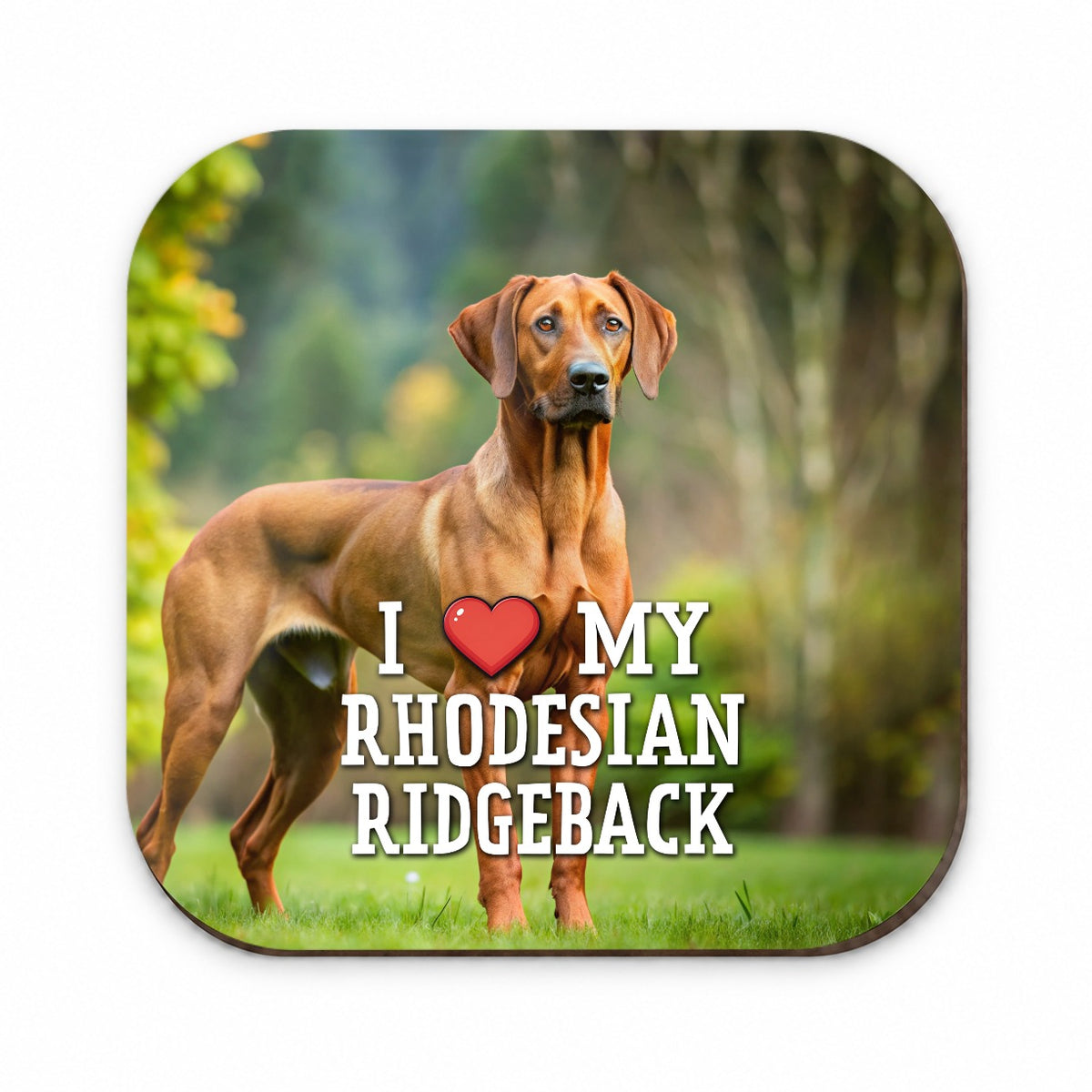 I Love My Rhodesian Ridgeback Dog Heart Fridge Magnet
