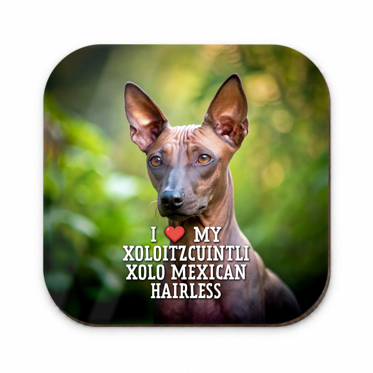 I Love My Xoloitzcuintli Xolo Mexican Hairless Dog Heart Fridge Magnet