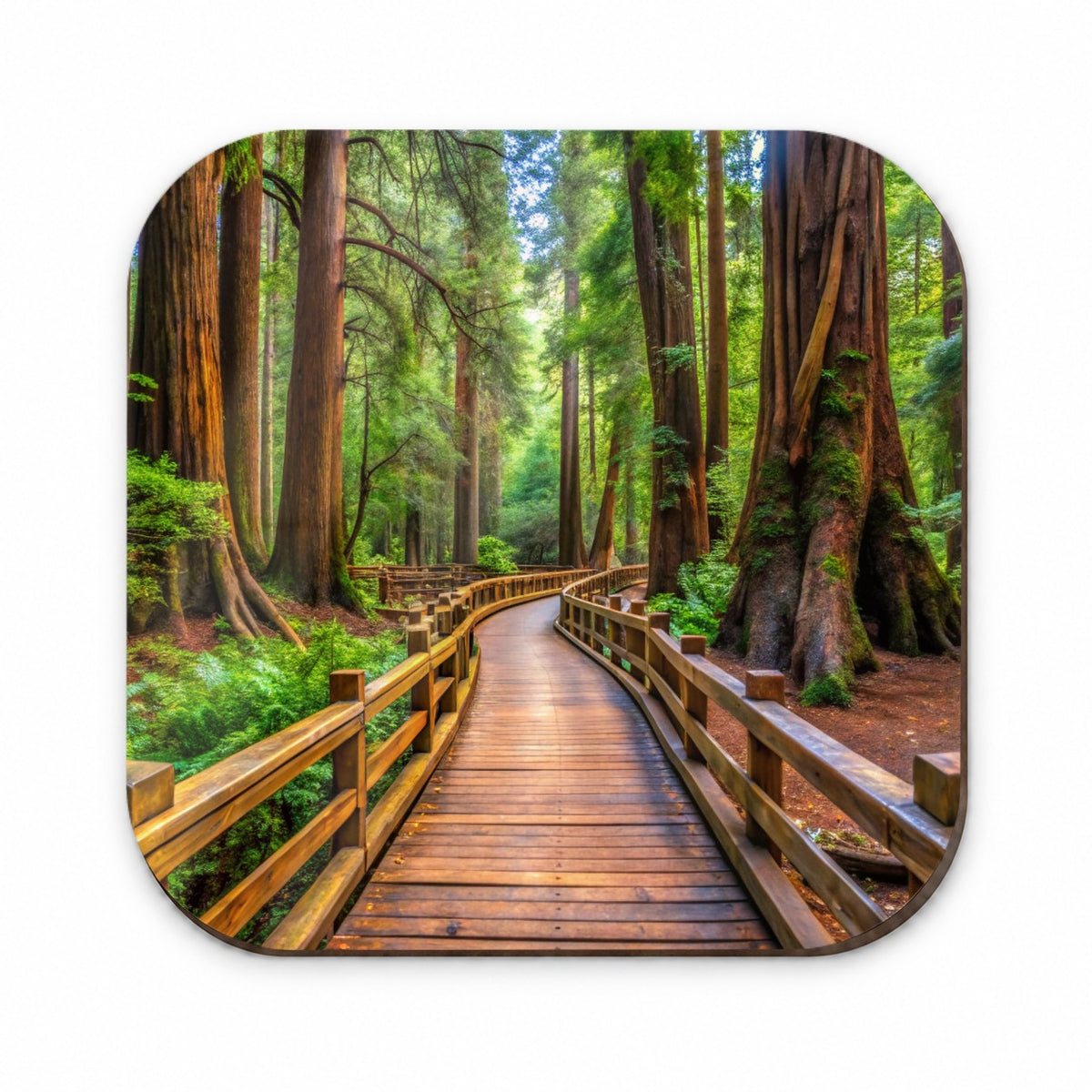 Muir Woods National Monument California Watercolor Style Fridge Magnet