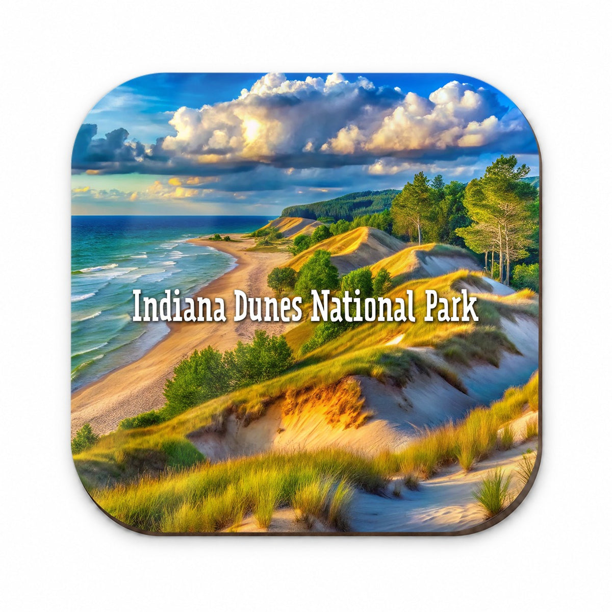 Indiana Dunes National Park Indiana Fridge Magnet
