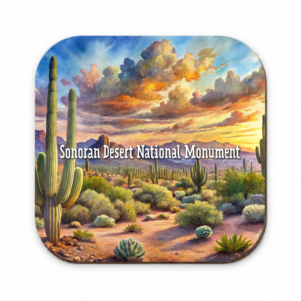 Sonoran Desert National Monument Arizona Fridge Magnet