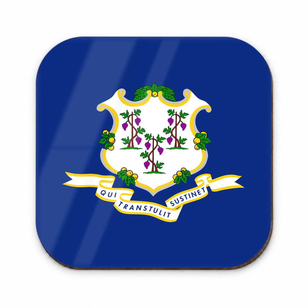 Connecticut CT State Flag Fridge Magnet