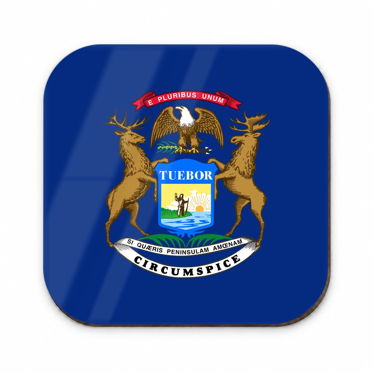 Michigan MI State Flag Fridge Magnet