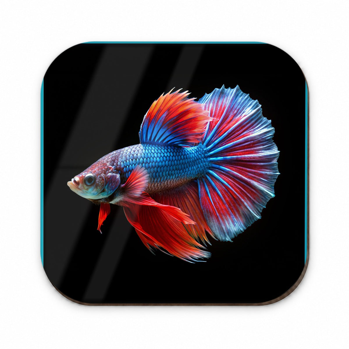 Betta Siamese Fighting Fish Fridge Magnet
