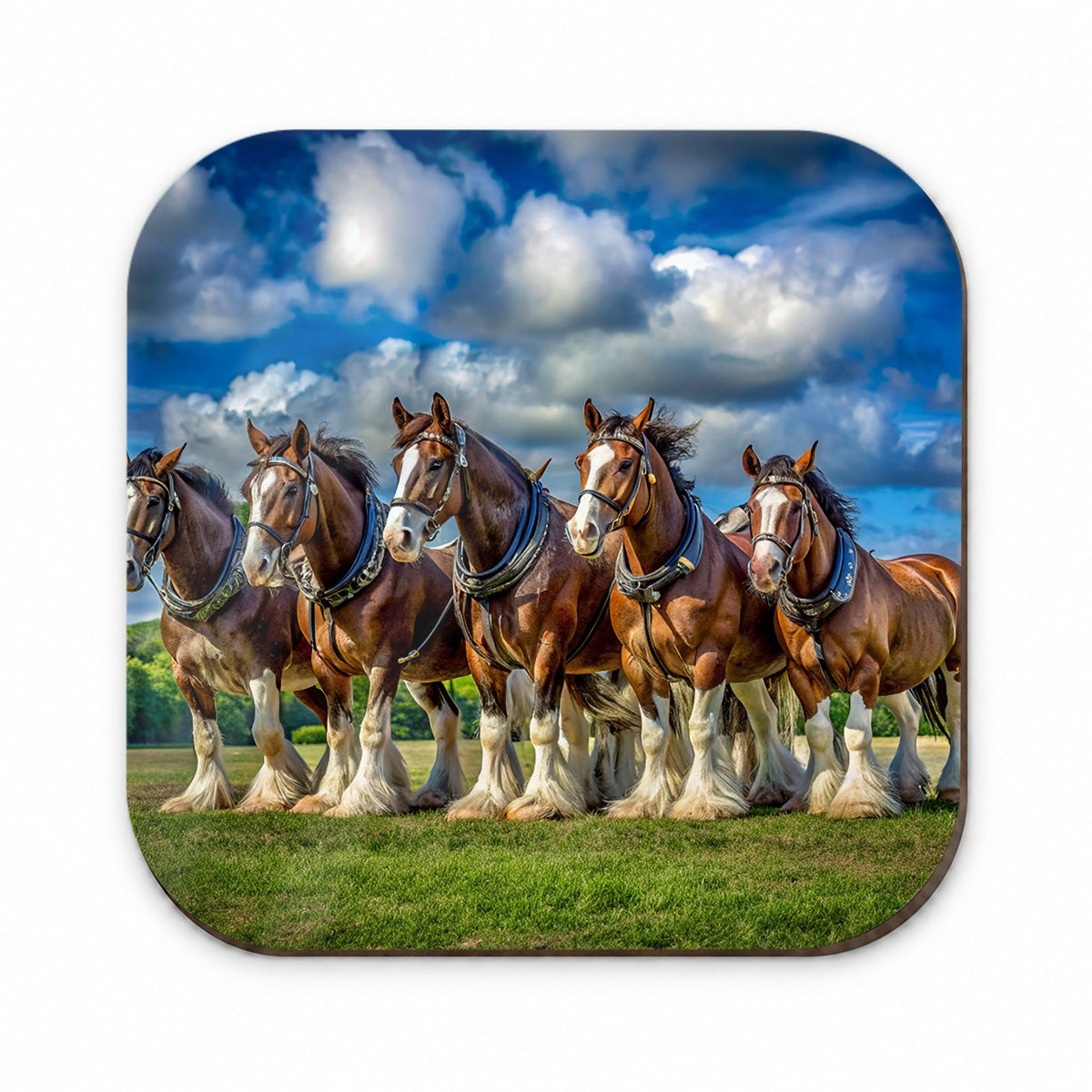 Clydesdale Horses in a Field Fridge Magnet