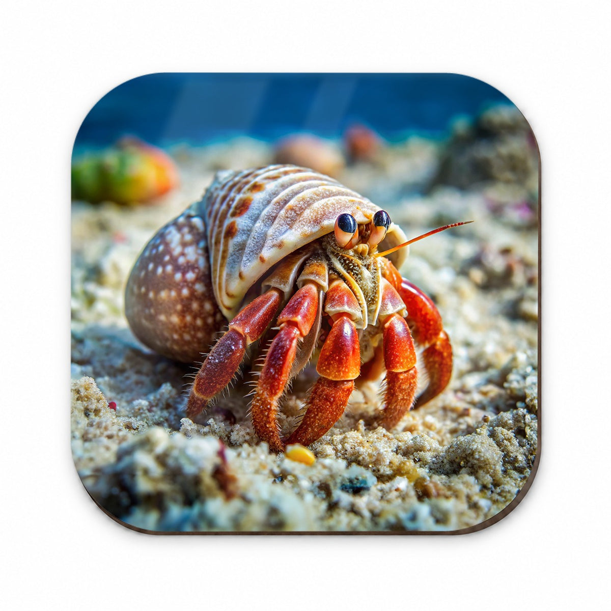Hermit Crab in the Ocean Fridge Magnet