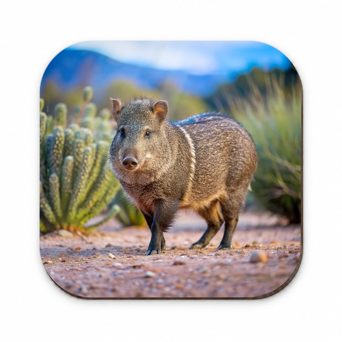 Javelina in Nature Fridge Magnet