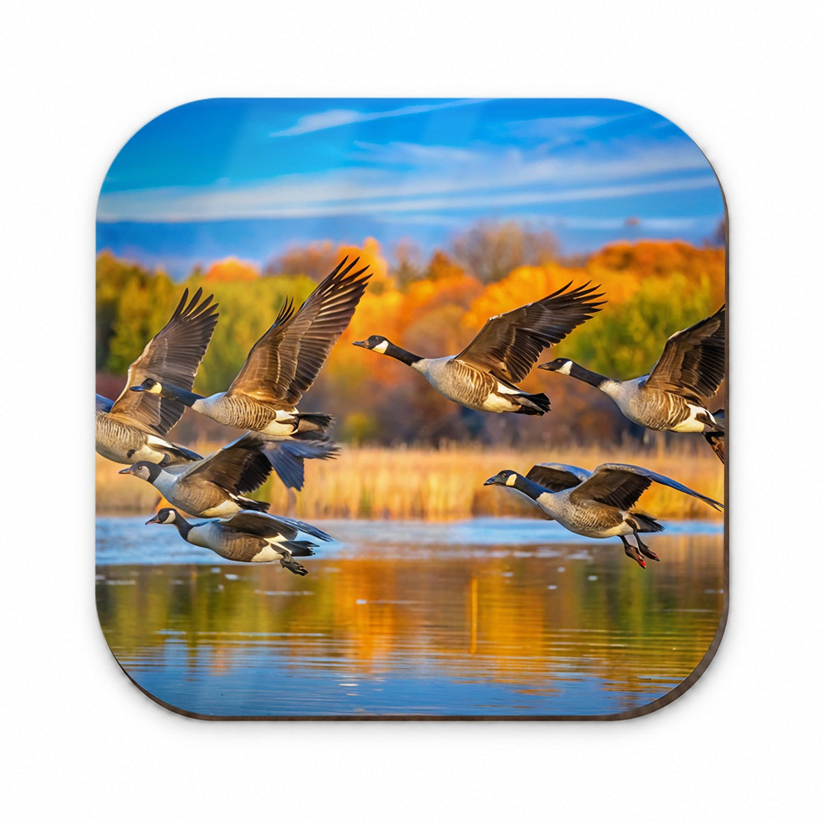 Canada Canadian Geese In Flight Fridge Magnet
