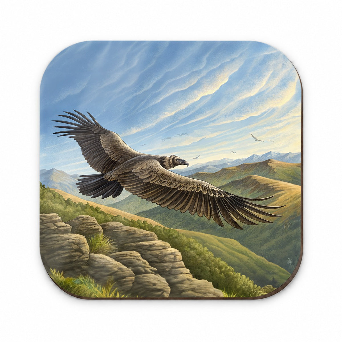 Condor in Flight Illustration Fridge Magnet