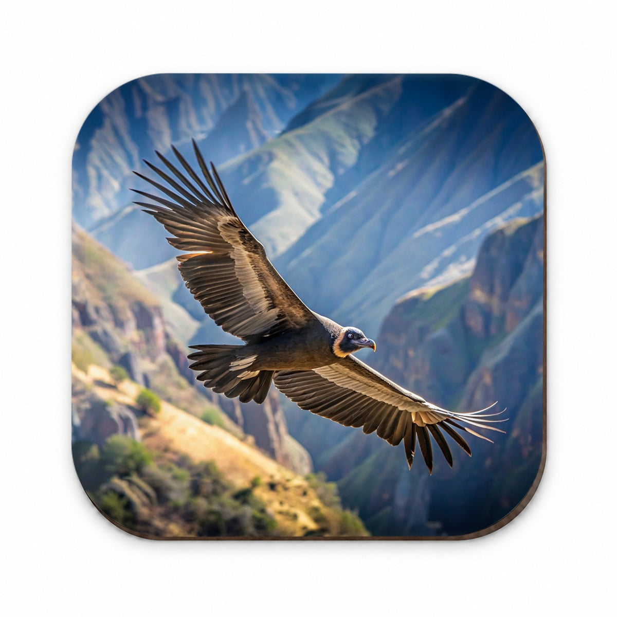 Condor In Flight Photo Fridge Magnet