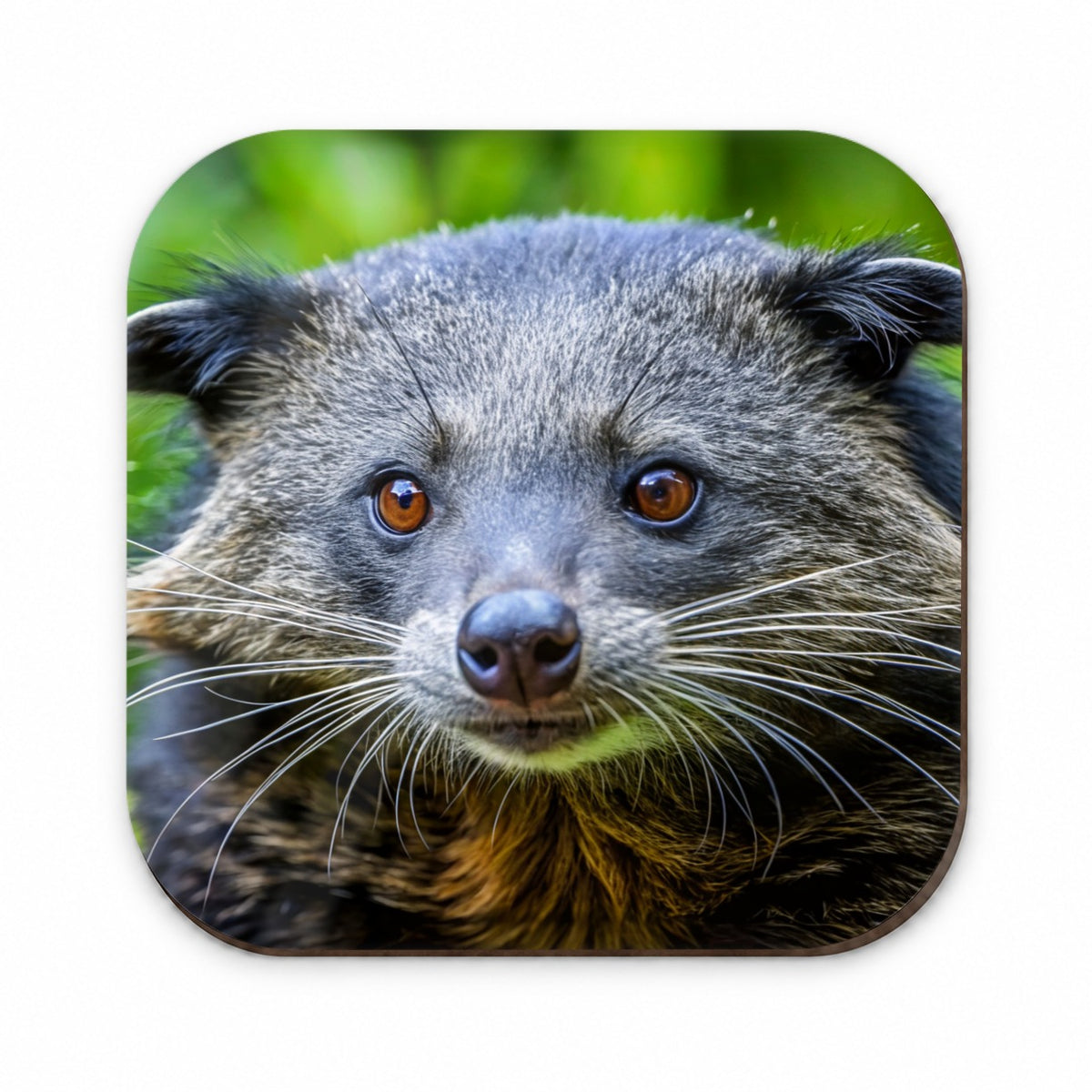 Binturong Bearcat Face Fridge Magnet