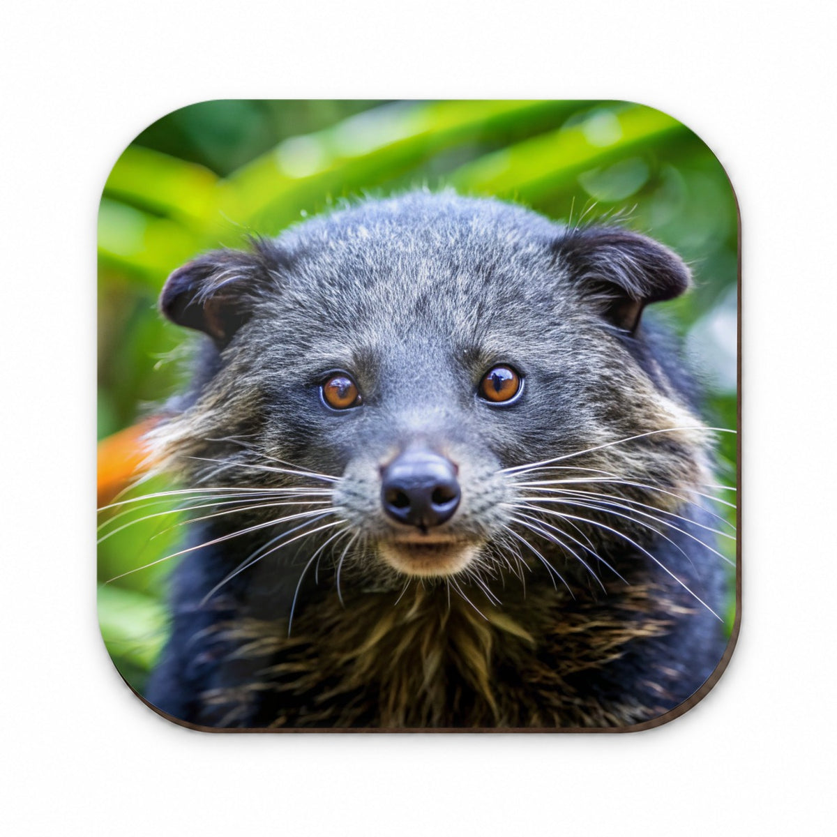 Binturong Bearcat Photo Fridge Magnet