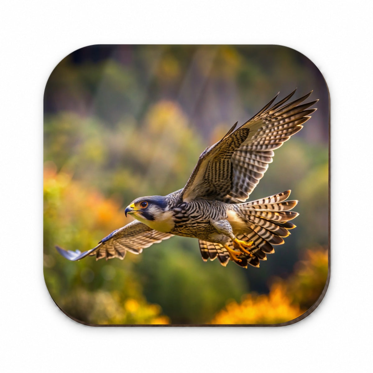 Falcon Raptor in Flight Fridge Magnet