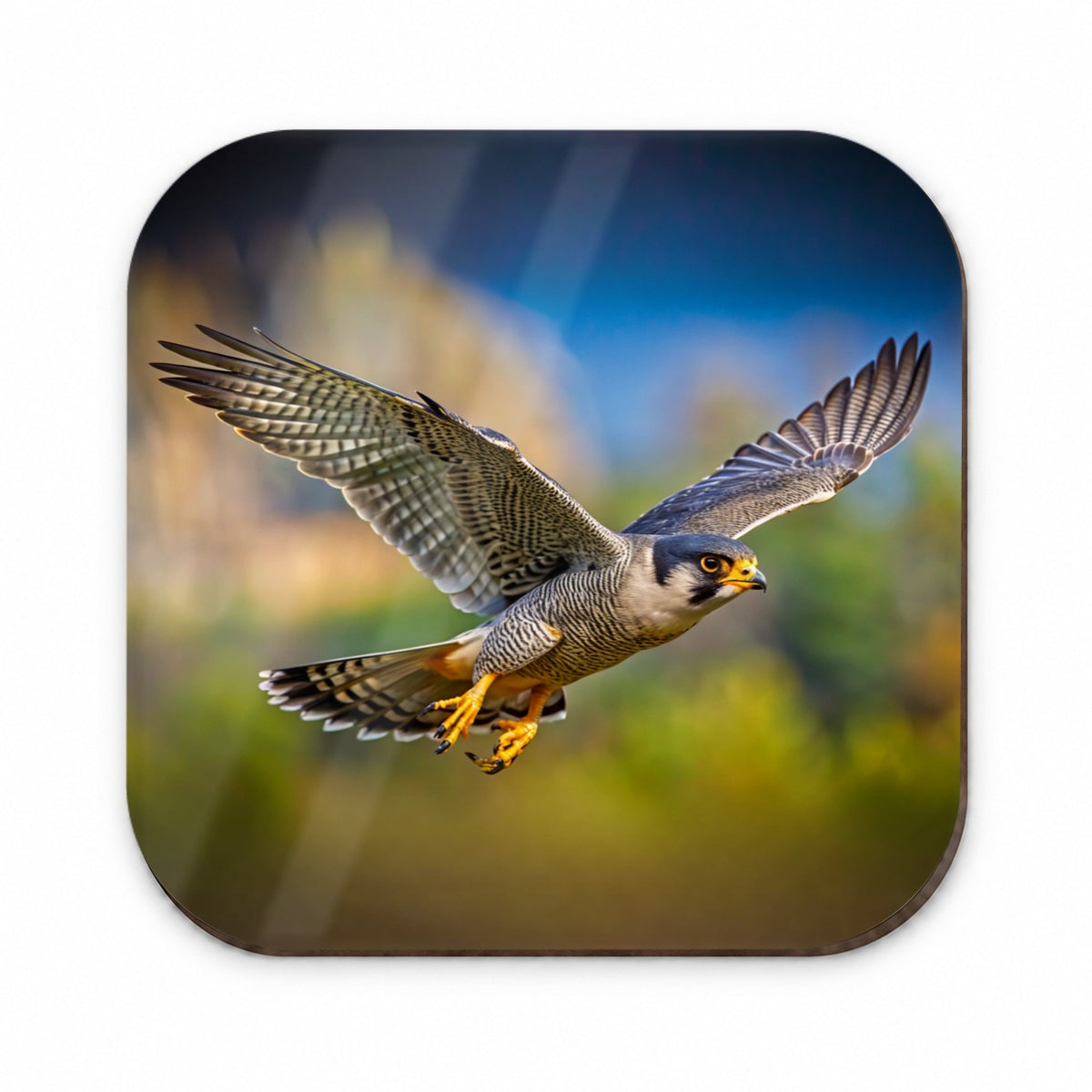 Peregrine Falcon Raptor in Flight Fridge Magnet