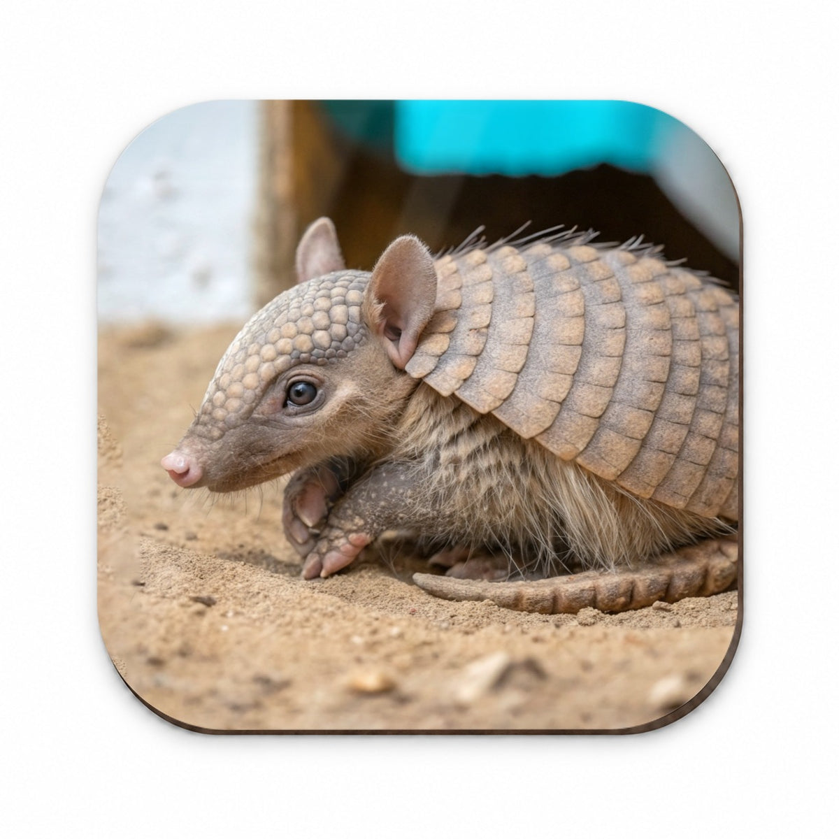 Armadillo Close Up Fridge Magnet