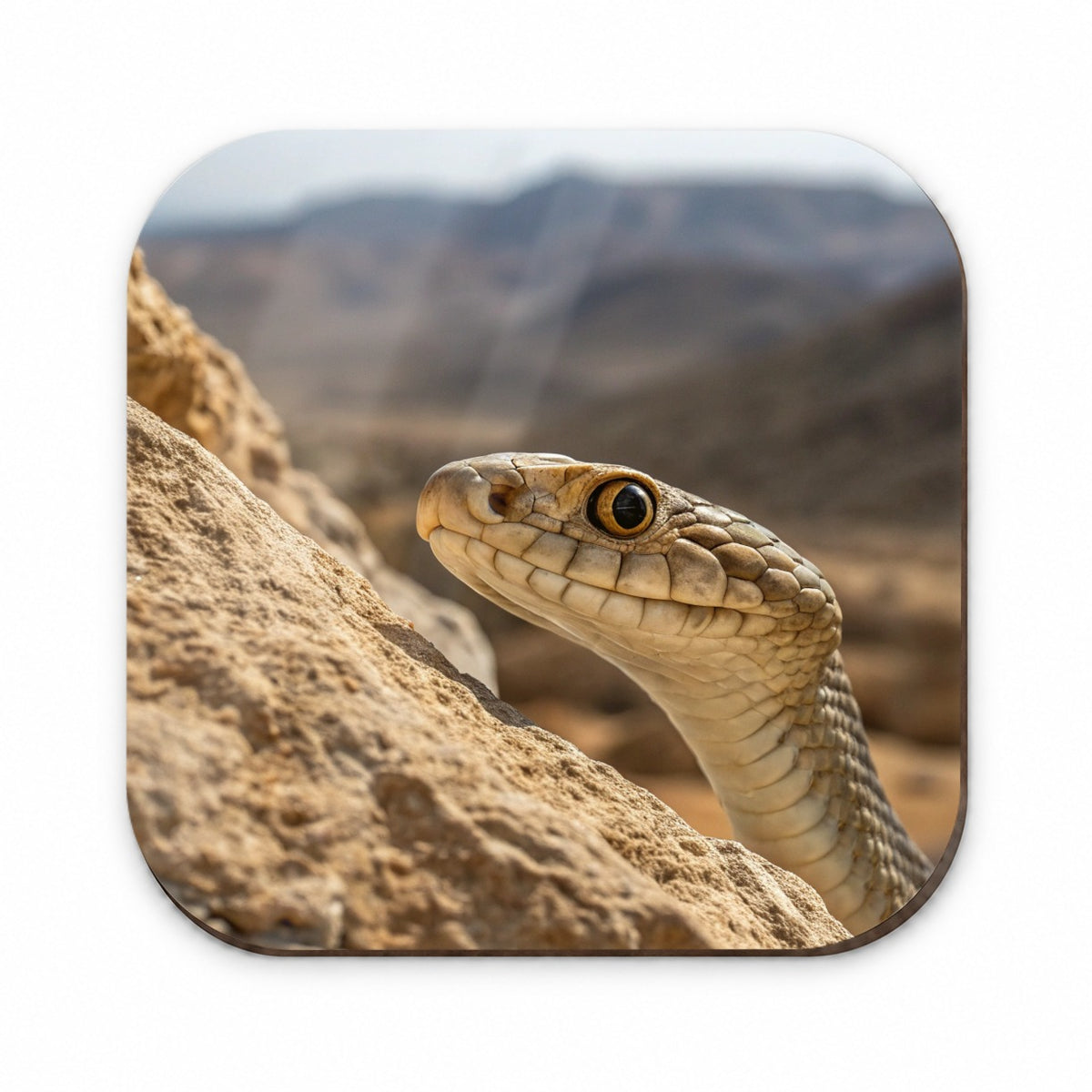 Asp Snake Wildlife Nature Fridge Magnet