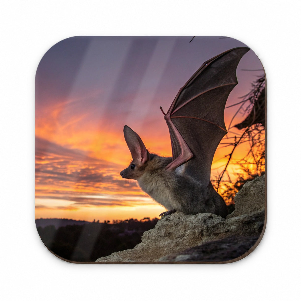 Bat Nature At Sunset Fridge Magnet
