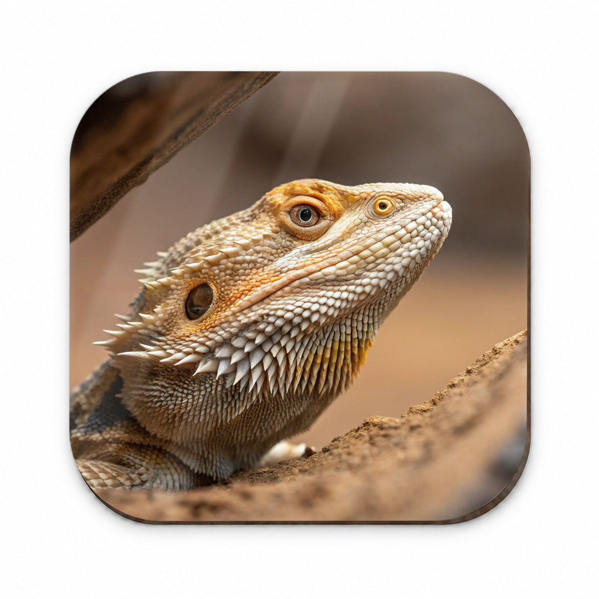 Bearded Dragon Lizard Wildlife Fridge Magnet