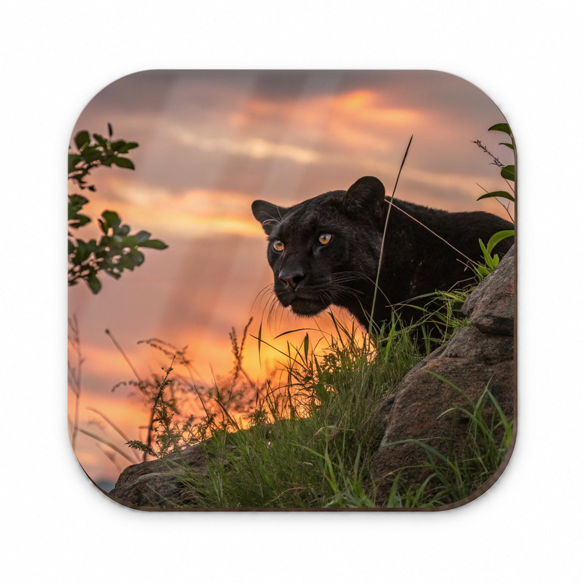 Black Panther At Sunset Fridge Magnet