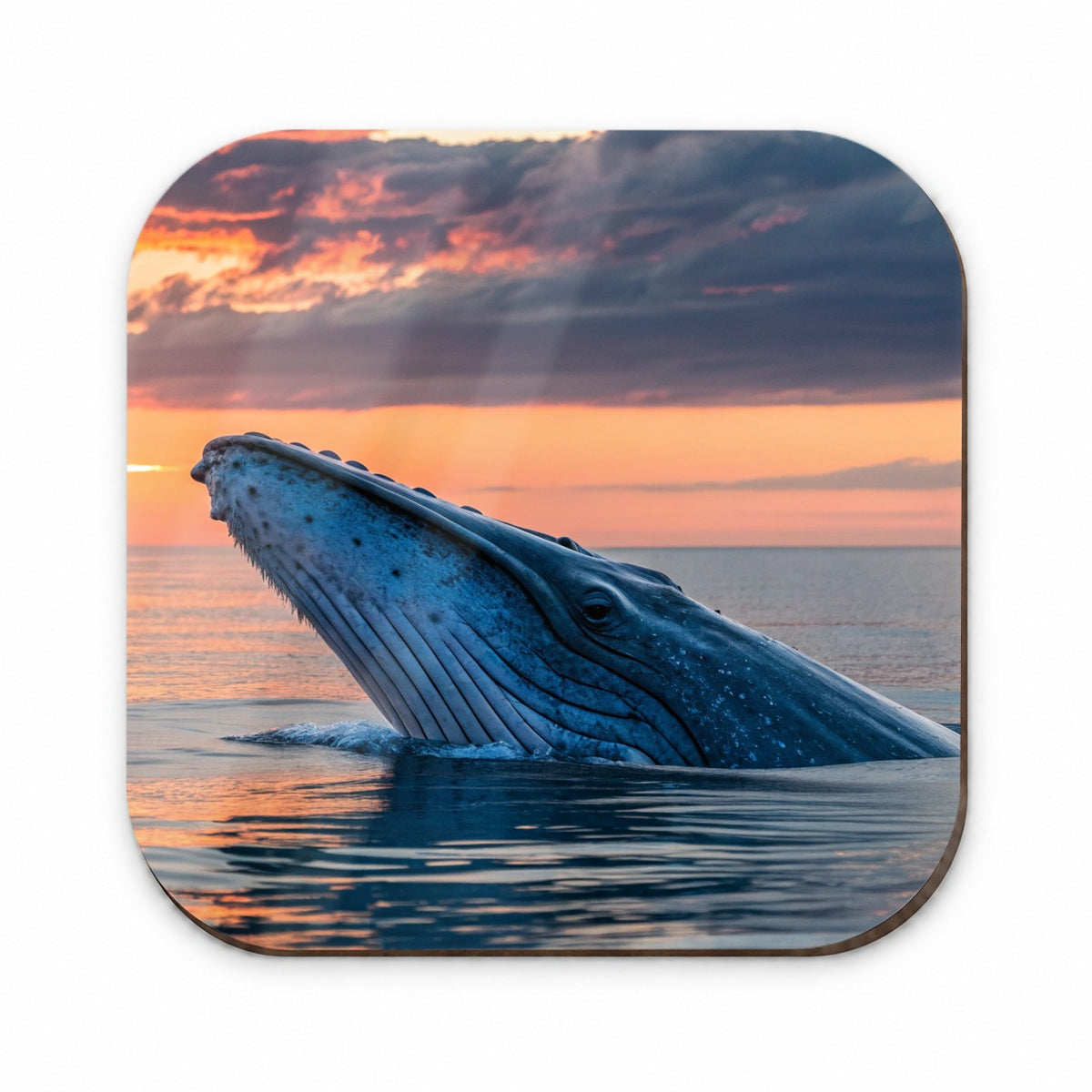Blue Whale Ocean Sunset Fridge Magnet