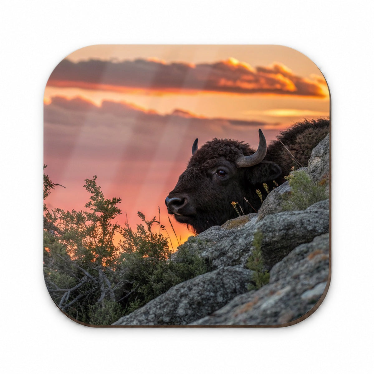 Buffalo At Sunset Fridge Magnet