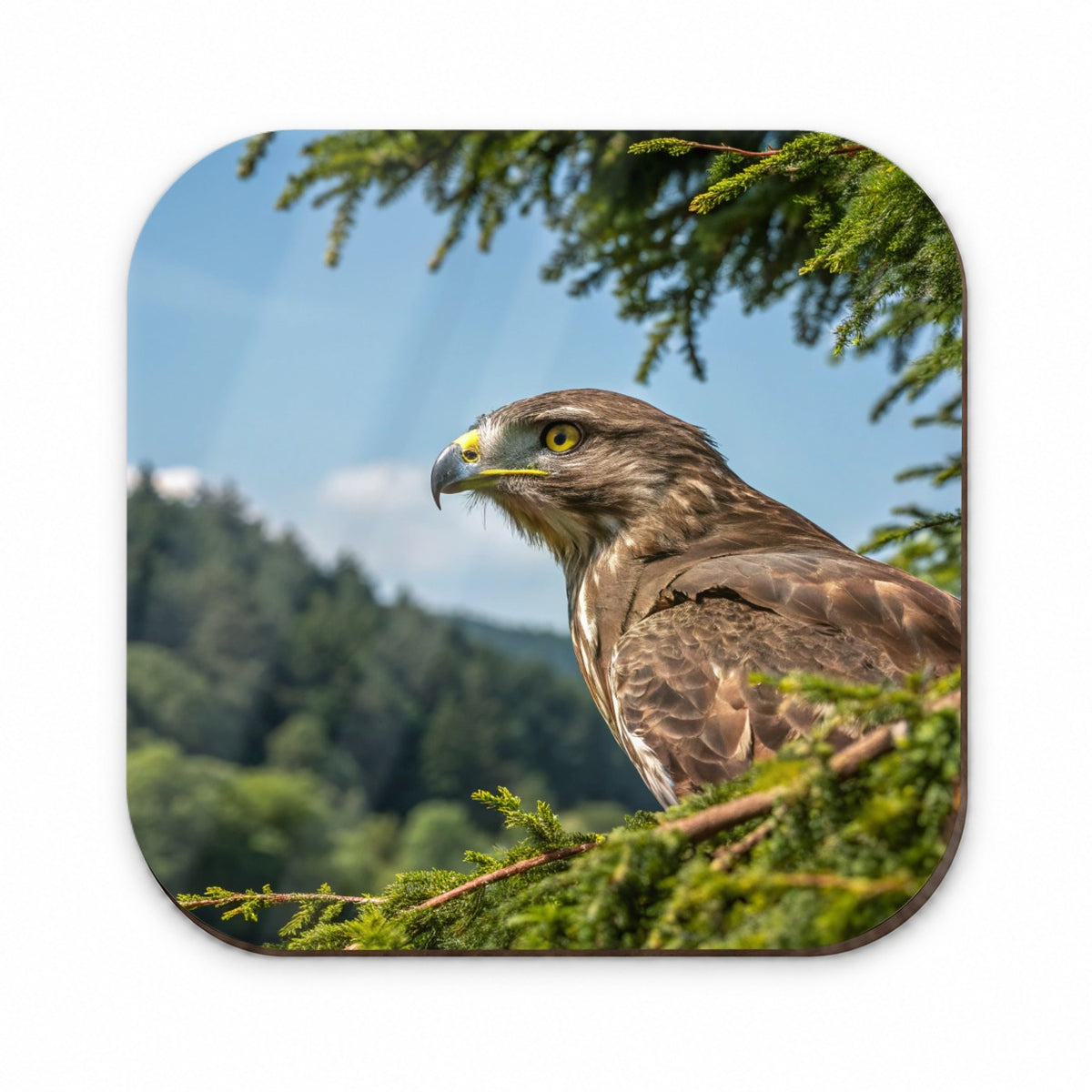 Buzzard Bird Wildlife Nature Fridge Magnet